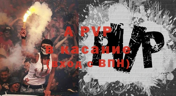 прущие грибы Майский