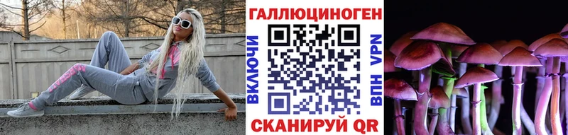 Псилоцибиновые грибы GOLDEN TEACHER  купить наркоту  Динская 